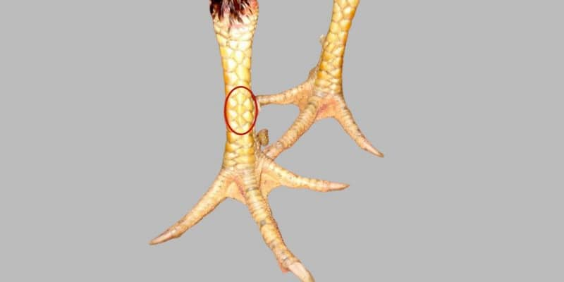 vay-tam-tai-tu-quy-la-gi