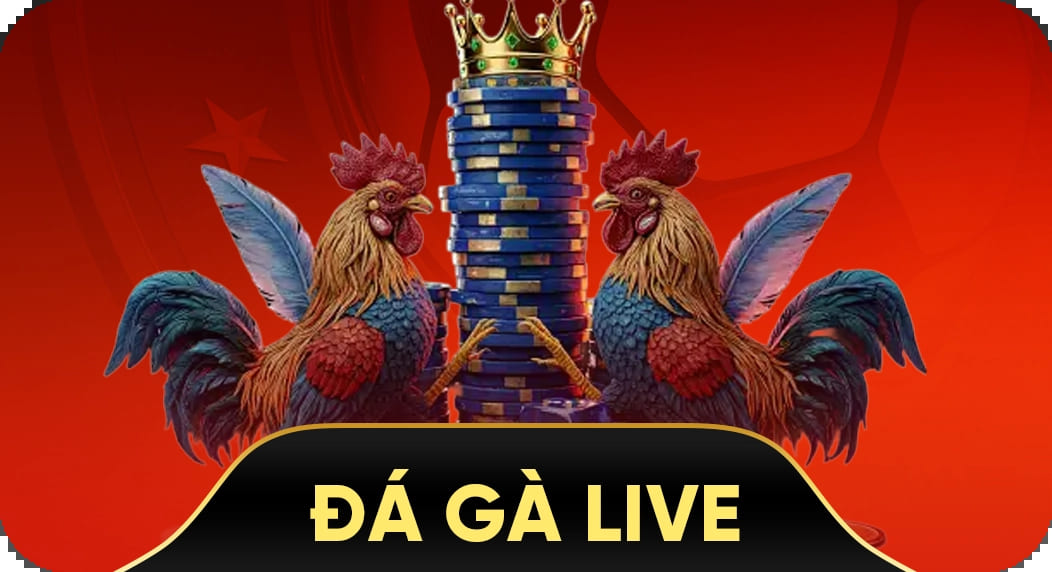 đá gà casino